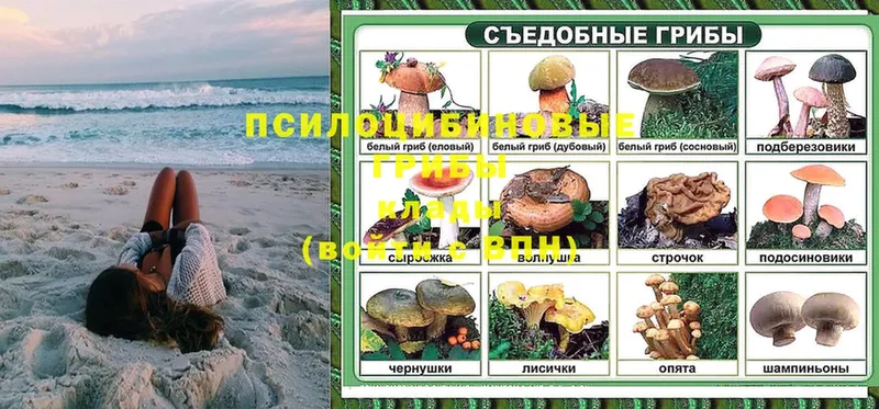 что такое   ссылка на мегу маркетплейс  Галлюциногенные грибы Psilocybe  Касимов 